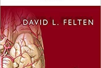 free-pdf-download-Netter’s Neuroscience Flash Cards 3rd Edition