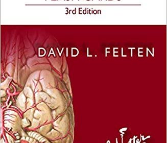 free-pdf-download-Netter’s Neuroscience Flash Cards 3rd Edition