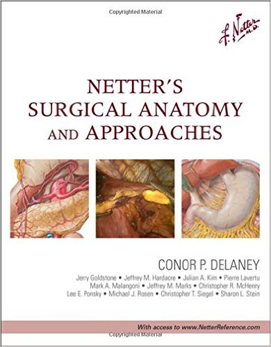 free-pdf-download-Netter’s Surgical Anatomy and Approaches