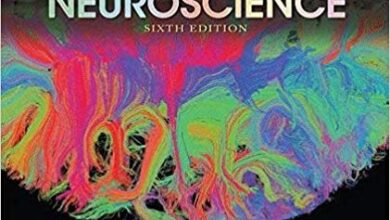 free-pdf-download-Neuroscience 6th Edition