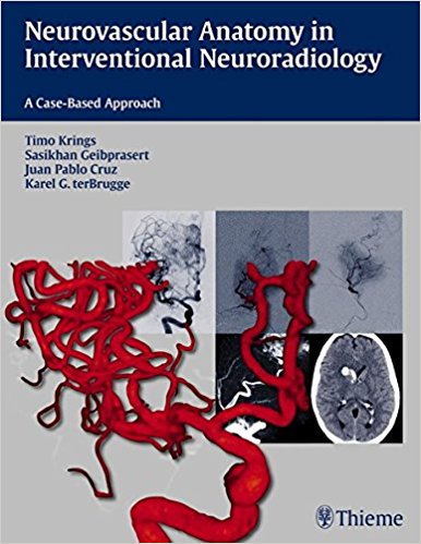 free-pdf-download-Neurovascular Anatomy in Interventional Neuroradiology: A Case-Based Approach 1st Edition