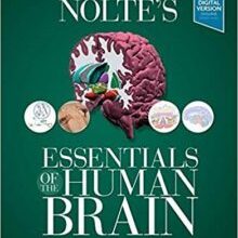 free-pdf-download-Nolte’s Essentials of the Human Brain 2nd Edition