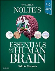 free-pdf-download-Nolte’s Essentials of the Human Brain 2nd Edition