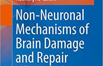 free-pdf-download-Non-Neuronal Mechanisms of Brain Damage and Repair After Stroke