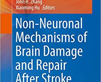 free-pdf-download-Non-Neuronal Mechanisms of Brain Damage and Repair After Stroke