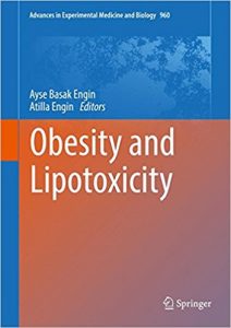 free-pdf-download-Obesity and Lipotoxicity (Advances in Experimental Medicine and Biology) 1st ed