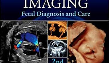 free-pdf-download-Obstetric Imaging: Fetal Diagnosis and Care (Expert Radiology) 2nd Edition