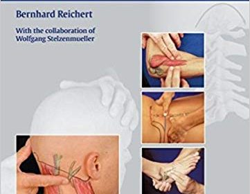 free-pdf-download-Palpation Techniques: Surface Anatomy for Physical Therapists 1st Edition