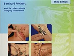 free-pdf-download-Palpation Techniques: Surface Anatomy for Physical Therapists 3rd Edition