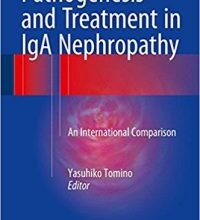 free-pdf-download-Pathogenesis and Treatment in IgA Nephropathy: An International Comparison 1st ed