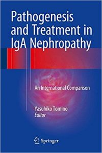 free-pdf-download-Pathogenesis and Treatment in IgA Nephropathy: An International Comparison 1st ed