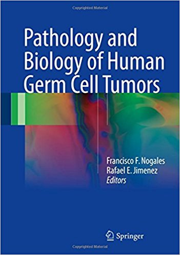 free-pdf-download-Pathology and Biology of Human Germ Cell Tumors 1st ed. 2017 Edition