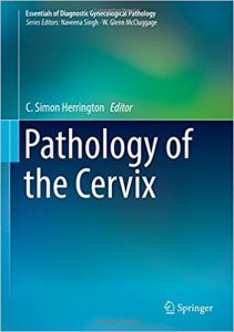 free-pdf-download-Pathology of the Cervix (Essentials of Diagnostic Gynecological Pathology) 1st ed