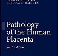 free-pdf-download-Pathology of the Human Placenta 6th ed