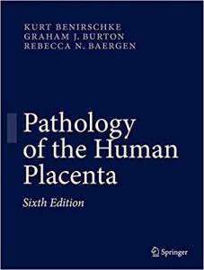 free-pdf-download-Pathology of the Human Placenta 6th ed