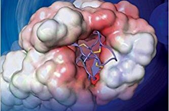 free-pdf-download-Peptide Chemistry and Drug Design 1st Edition