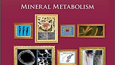 free-pdf-download-Primer on the Metabolic Bone Diseases and Disorders of Mineral Metabolism 9th Edition