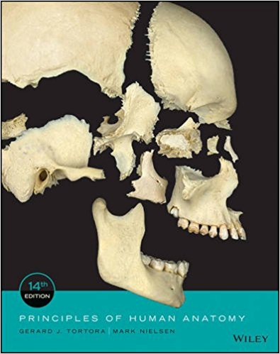 free-pdf-download-Principles of Human Anatomy