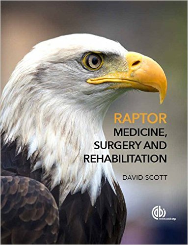 free-pdf-download-Raptor Medicine