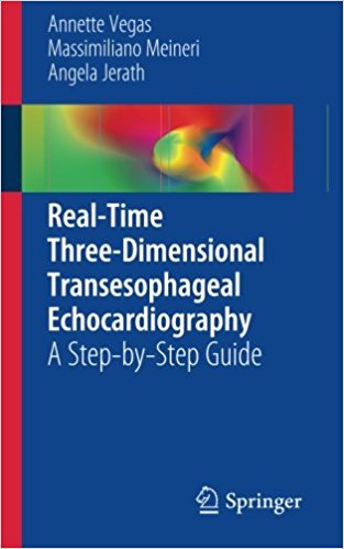 free-pdf-download-Real-Time Three-Dimensional Transesophageal Echocardiography: A Step-by-Step Guide 2012th Edition