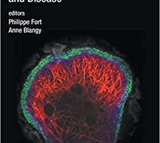 free-pdf-download-Rho GTPases: Molecular Biology in Health and Disease