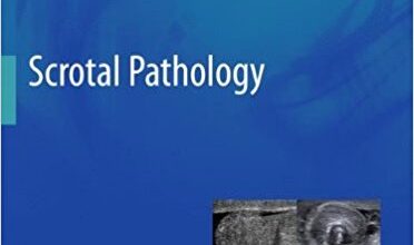 free-pdf-download-Scrotal Pathology (Medical Radiology) 2012th Edition