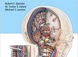 free-pdf-download-Surgery of the Brainstem 1st Edition