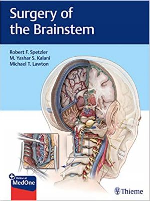 free-pdf-download-Surgery of the Brainstem 1st Edition