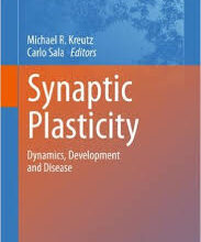 free-pdf-download-Synaptic Plasticity: Dynamics