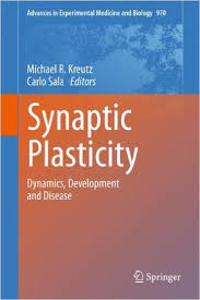 free-pdf-download-Synaptic Plasticity: Dynamics