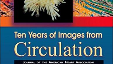 free-pdf-download-Ten Years of Images from Circulation 1st Edition