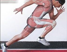 free-pdf-download-The Anatomy of Speed