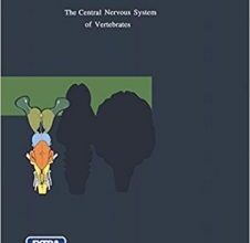 free-pdf-download-The Central Nervous System of Vertebrates