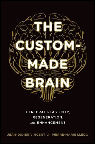 free-pdf-download-The Custom-Made Brain: Cerebral Plasticity