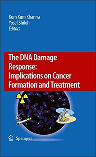 free-pdf-download-The DNA Damage Response: Implications on Cancer Formation and Treatment 2009th Edition