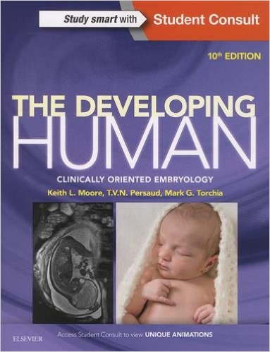 free-pdf-download-The Developing Human: Clinically Oriented Embryology