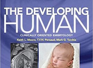 free-pdf-download-The Developing Human: Clinically Oriented Embryology 10th Edition