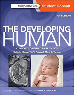 free-pdf-download-The Developing Human: Clinically Oriented Embryology 10th Edition