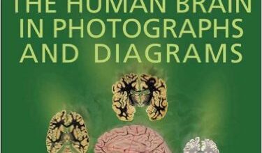 free-pdf-download-The Human Brain in Photographs and Diagrams: With STUDENT CONSULT Online Access