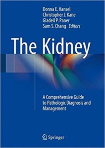 free-pdf-download-The Kidney: A Comprehensive Guide to Pathologic Diagnosis and Management 1st ed. 2016 Edition