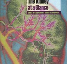 free-pdf-download-The Kidney at a Glance