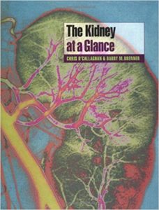 free-pdf-download-The Kidney at a Glance