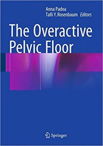 free-pdf-download-The Overactive Pelvic Floor 1st ed. 2016 Edition