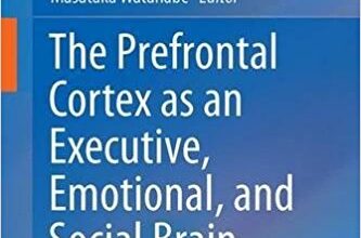 free-pdf-download-The Prefrontal Cortex as an Executive