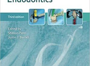 free-pdf-download-The Principles of Endodontics 3rd Edition