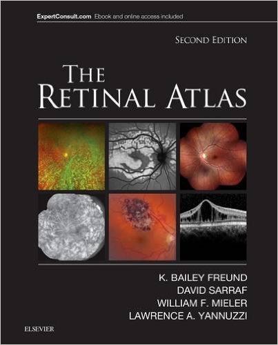 free-pdf-download-The Retinal Atlas