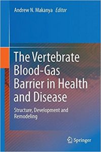 free-pdf-download-The Vertebrate Blood-Gas Barrier in Health and Disease: Structure