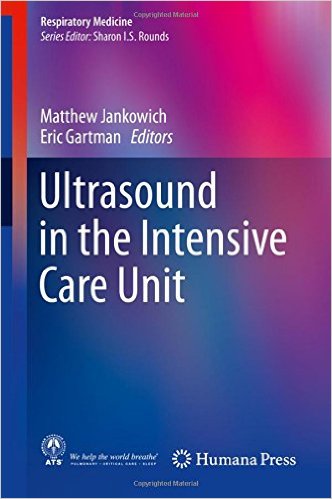 free-pdf-download-Ultrasound in the Intensive Care Unit (Respiratory Medicine) 2015th Edition