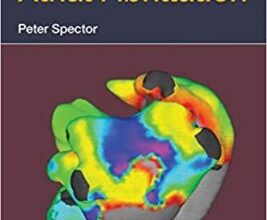 free-pdf-download-Understanding Atrial Fibrillation 1st Edition