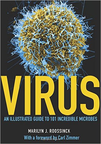 free-pdf-download-Virus: An Illustrated Guide to 101 Incredible Microbes Ill Edition